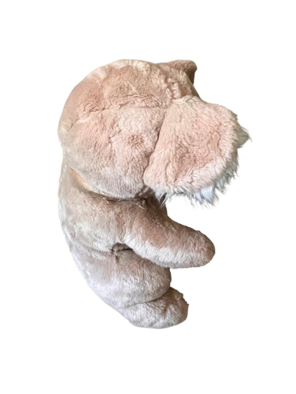 Daekor Koala Plush The Pot Bellies 1977 W/ Original Tag Beige & Cream 15" Korea - Picture 3 of 10